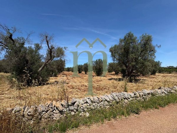 terreno agricolo in vendita a San Vito dei Normanni