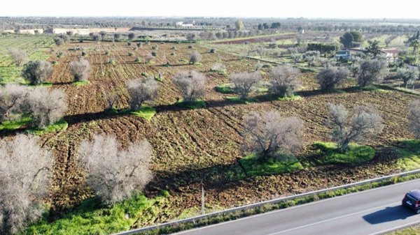 terreno agricolo in vendita a San Vito dei Normanni