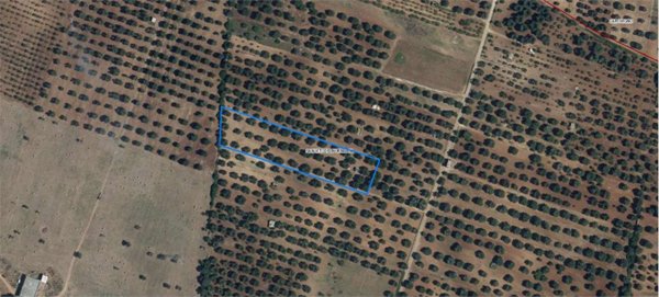 terreno edificabile in vendita a San Vito dei Normanni in zona Poggioreale