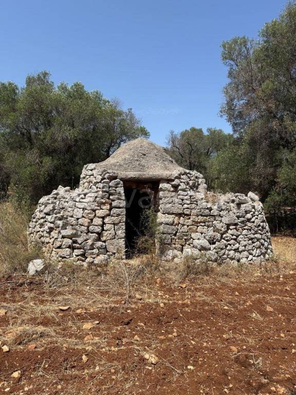 terreno agricolo in vendita a San Vito dei Normanni