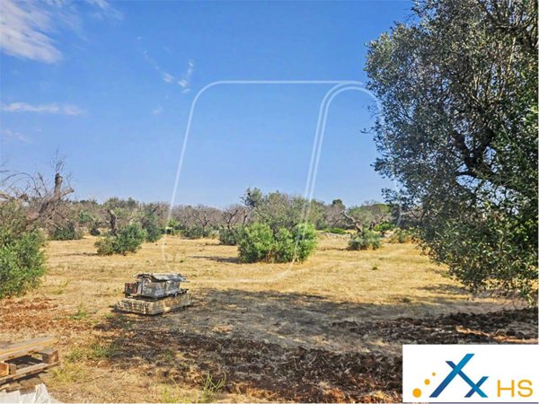 casa indipendente in vendita a San Vito dei Normanni