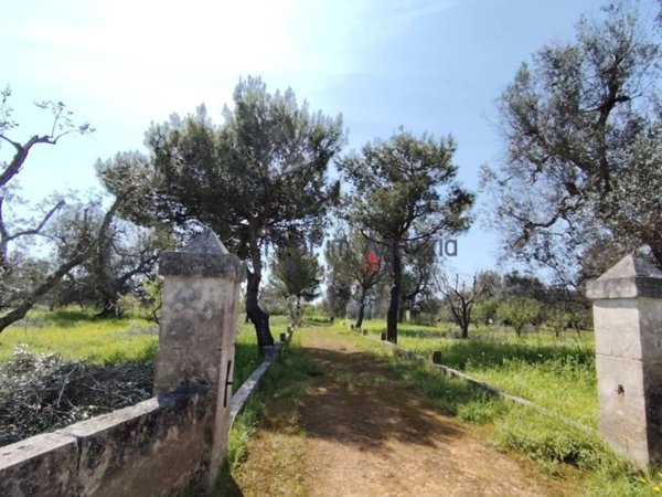 terreno agricolo in vendita a San Vito dei Normanni