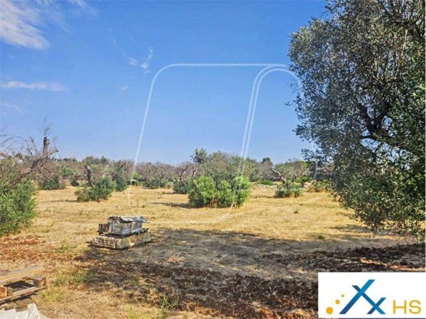 terreno agricolo in vendita a San Vito dei Normanni