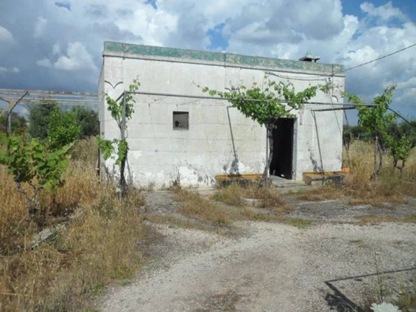 terreno agricolo in vendita a San Vito dei Normanni