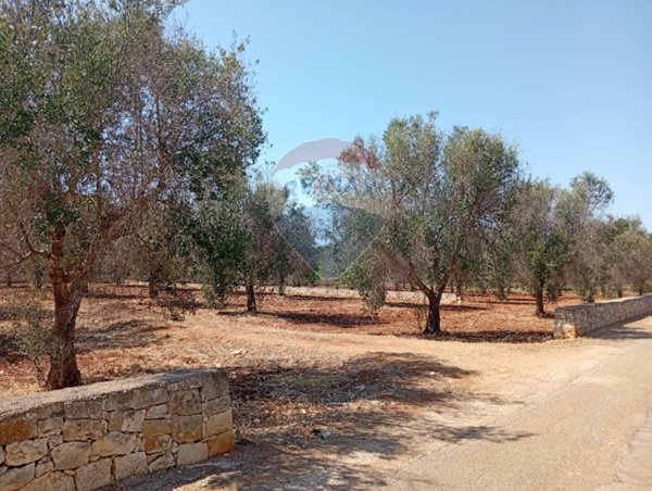 terreno agricolo in vendita a San Vito dei Normanni in zona Poggioreale