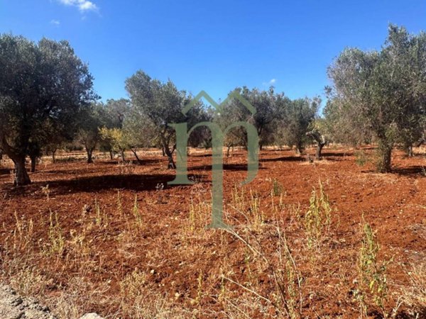 terreno agricolo in vendita a San Vito dei Normanni in zona Poggioreale