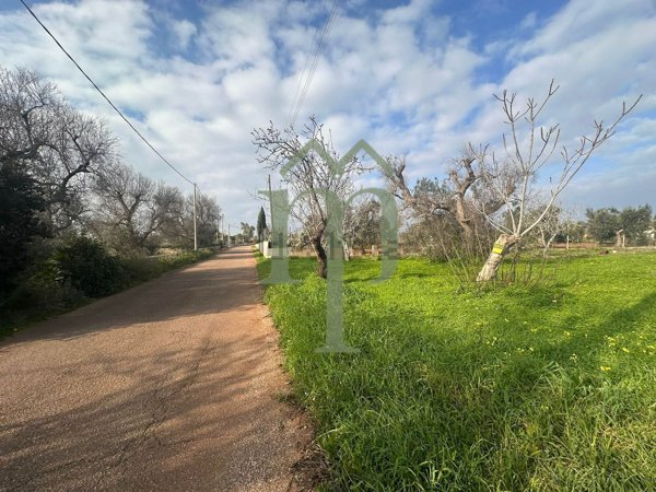 casa indipendente in vendita a San Vito dei Normanni in zona Poggioreale
