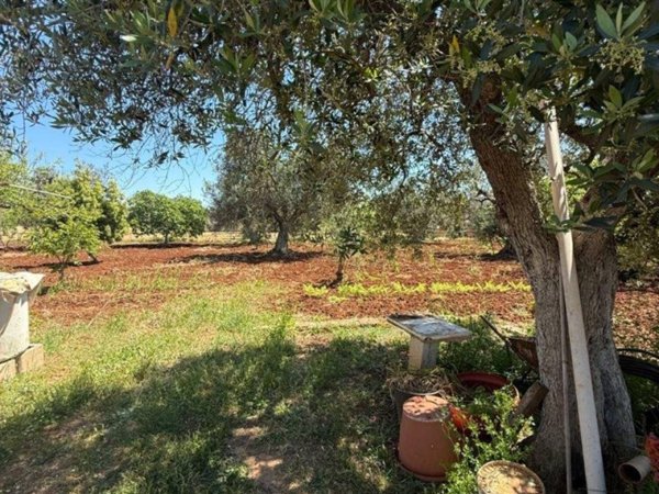 terreno agricolo in vendita a San Vito dei Normanni in zona Poggioreale