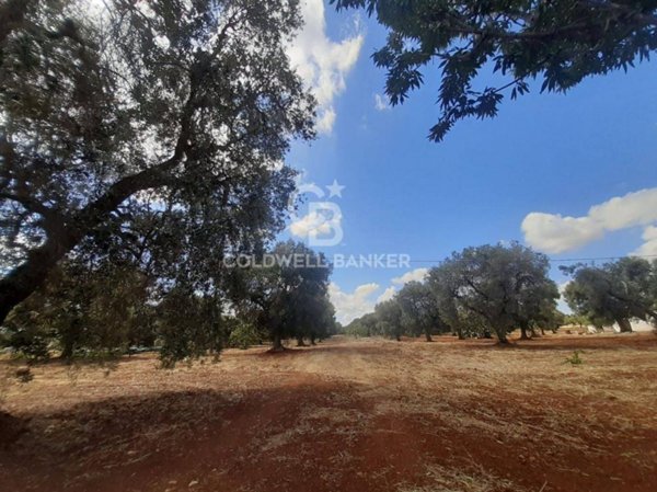 terreno agricolo in vendita a San Vito dei Normanni in zona Poggioreale