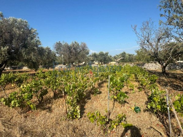 terreno agricolo in vendita a San Vito dei Normanni in zona Poggioreale