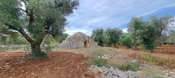 trullo in vendita a San Vito dei Normanni in zona Poggioreale