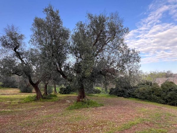 trullo in vendita a San Vito dei Normanni in zona Poggioreale