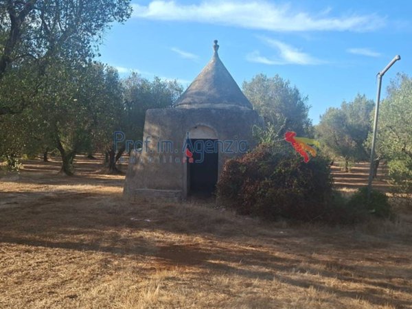 casa indipendente in vendita a San Vito dei Normanni