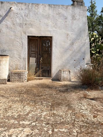 terreno in vendita a San Vito dei Normanni