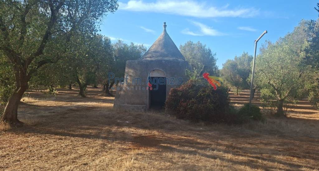 trullo in vendita a San Vito dei Normanni