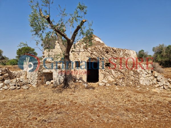 casa indipendente in vendita a San Vito dei Normanni in zona Centro Storico