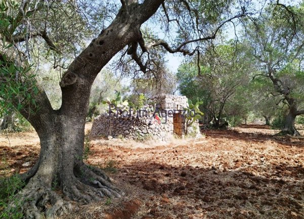 trullo in vendita a San Vito dei Normanni in zona Centro Storico