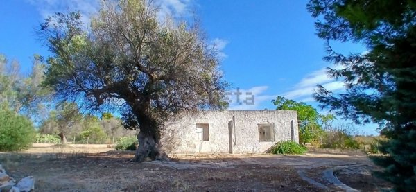 casa indipendente in vendita a San Vito dei Normanni in zona Poggioreale