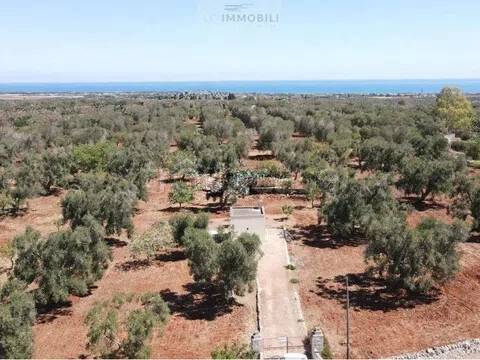 terreno in vendita a San Vito dei Normanni