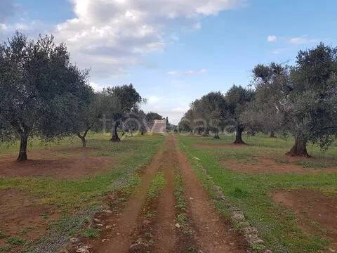 terreno in vendita a San Vito dei Normanni