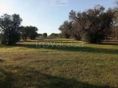 terreno in vendita a San Vito dei Normanni in zona Poggioreale