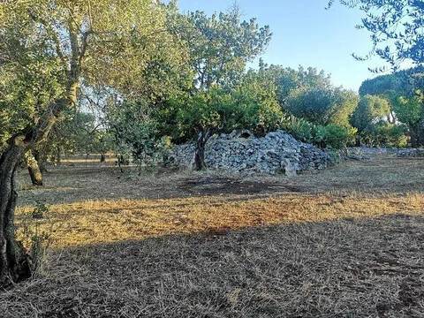 terreno in vendita a San Vito dei Normanni