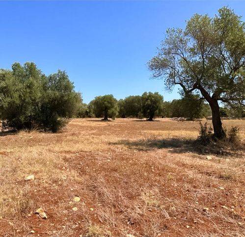 terreno in vendita a San Vito dei Normanni in zona Centro Storico