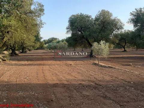 terreno in vendita a San Vito dei Normanni