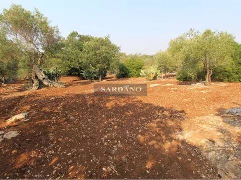 terreno in vendita a San Vito dei Normanni in zona Poggioreale