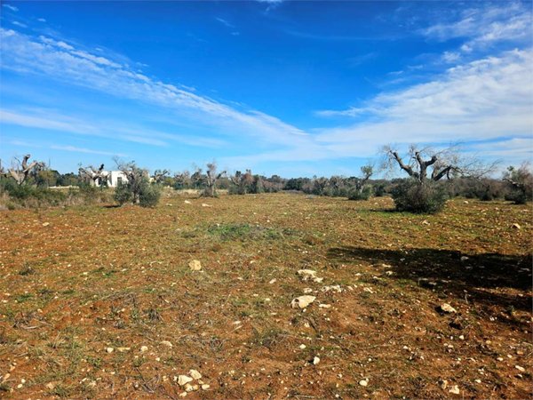terreno in vendita a San Vito dei Normanni in zona Specchia di Mare