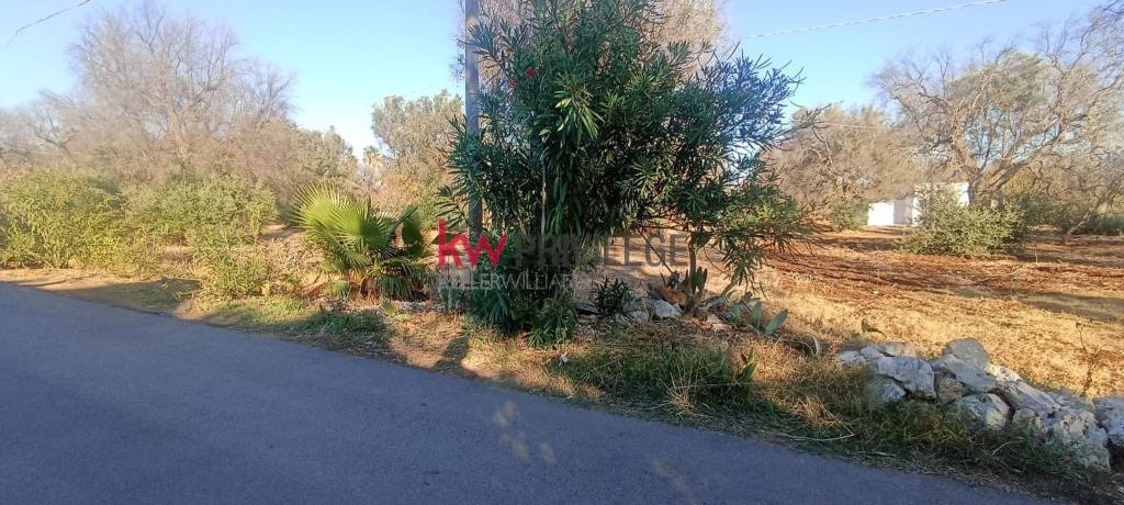 terreno in vendita a San Vito dei Normanni in zona Poggioreale