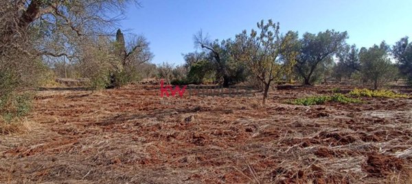 appartamento in vendita a San Vito dei Normanni in zona Poggioreale