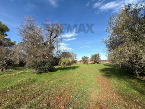 terreno in vendita a San Vito dei Normanni in zona Poggioreale