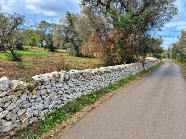 terreno in vendita a San Vito dei Normanni in zona Poggioreale