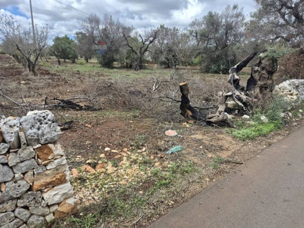 terreno in vendita a San Vito dei Normanni in zona Poggioreale