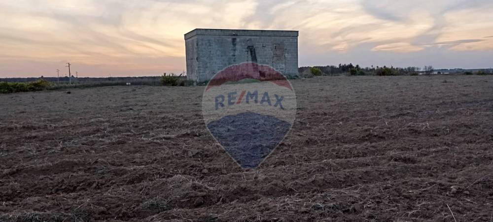 terreno agricolo in vendita a Torchiarolo in zona Lendinuso