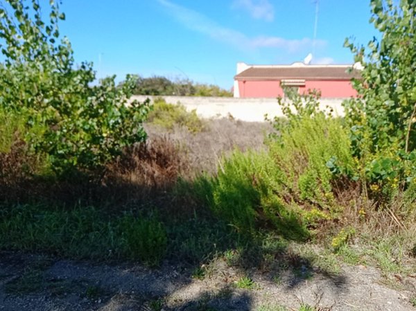 terreno agricolo in vendita a Torchiarolo in zona Lendinuso