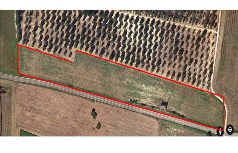 casa indipendente in vendita a Torchiarolo in zona Lendinuso
