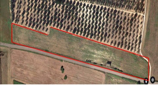 casa indipendente in vendita a Torchiarolo in zona Lendinuso