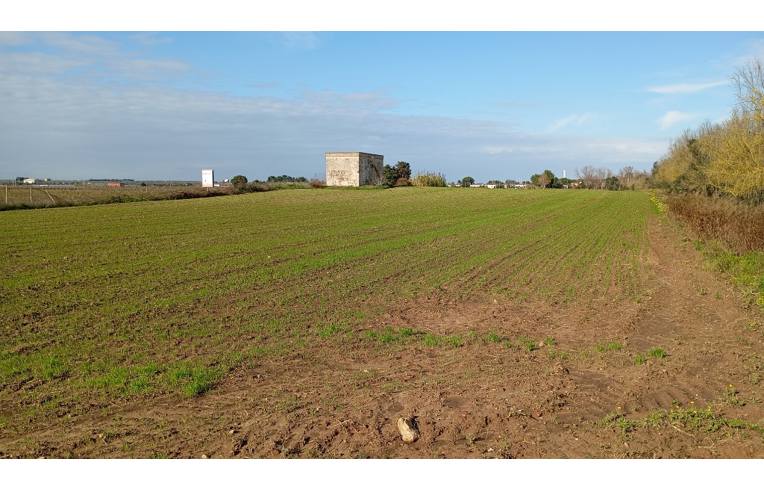 casa indipendente in vendita a Torchiarolo in zona Lendinuso