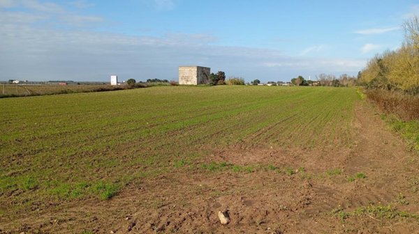casa indipendente in vendita a Torchiarolo in zona Lendinuso