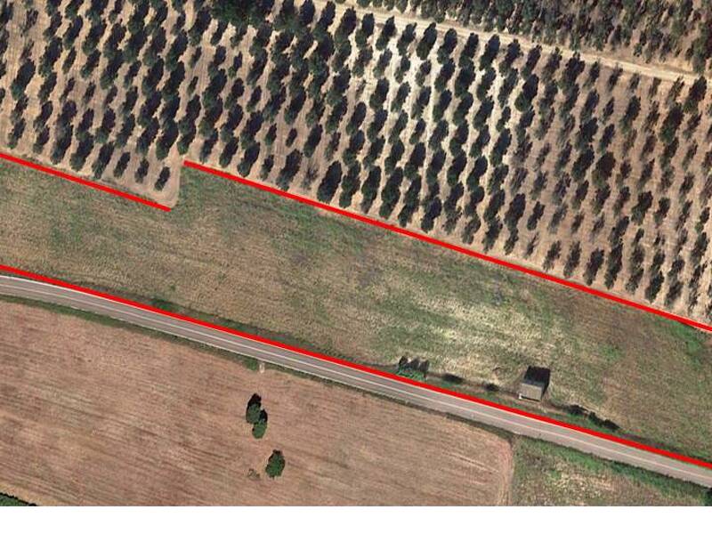 casa indipendente in vendita a Torchiarolo in zona Lendinuso