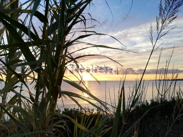 casa indipendente in vendita a Torchiarolo