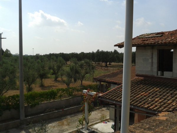 casa indipendente in vendita a Torchiarolo