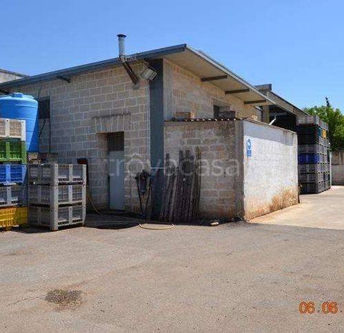 locale commerciale in vendita a Torre Santa Susanna