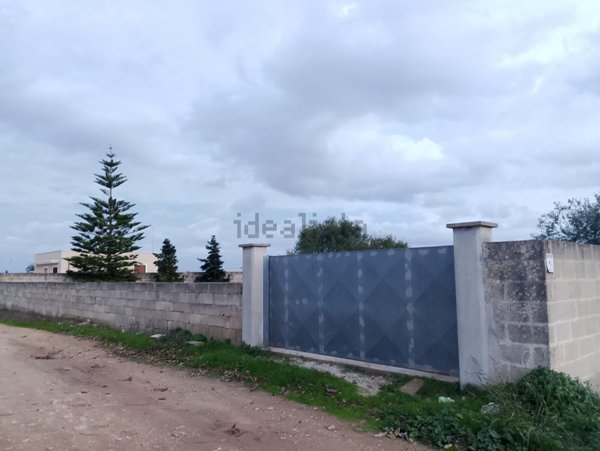terreno agricolo in vendita a Torre Santa Susanna