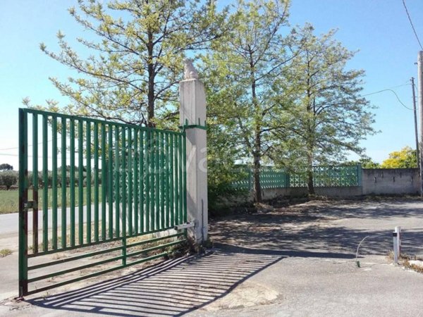 bivano in vendita a Torre Santa Susanna