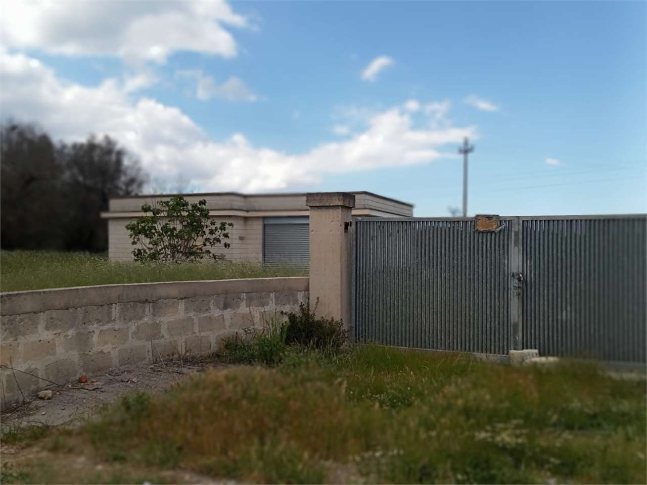 casa indipendente in vendita a Torre Santa Susanna