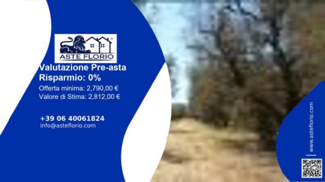 terreno agricolo in vendita a Torre Santa Susanna