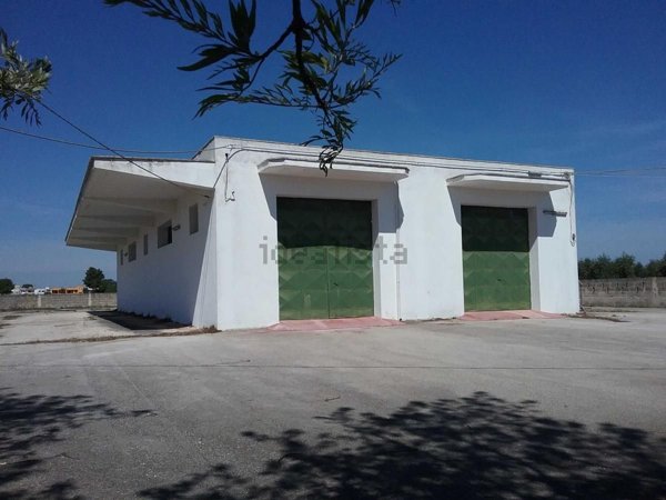 appartamento in vendita a Torre Santa Susanna